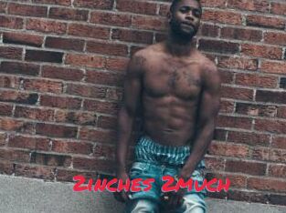 2inches_2much