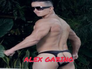 ALEX_GABINO