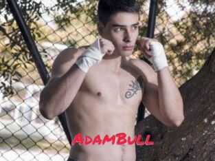 AdamBull