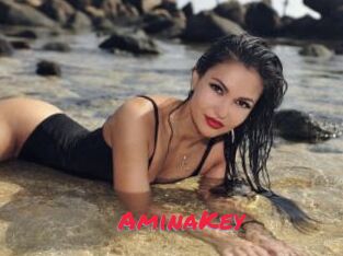 AminaKey