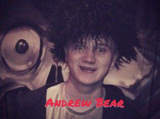 Andrew_Bear