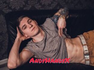 AndyHandyX