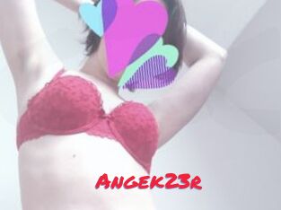 Angek23r