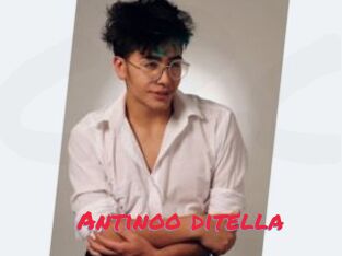 Antinoo_ditella