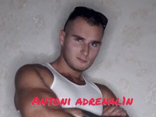 Antoni_adrenal1n