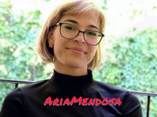 AriaMendosa