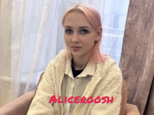 Aliceroosh