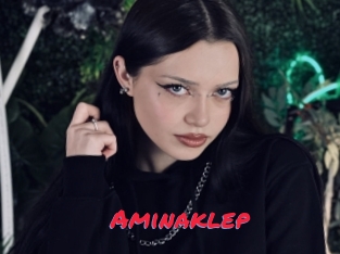 Aminaklep