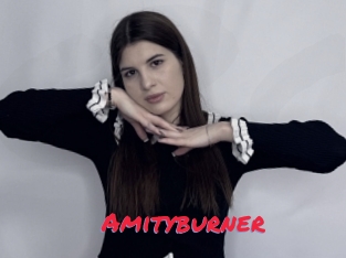 Amityburner