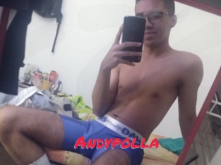 Andypolla