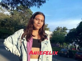 Aniefelix