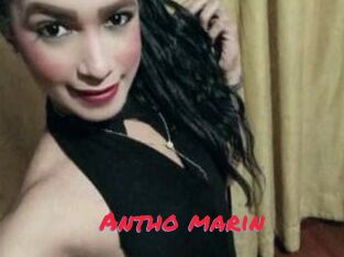 Antho_marin