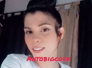 Antobigcock