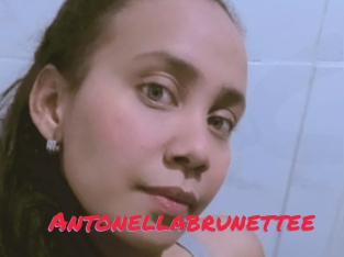 Antonellabrunettee