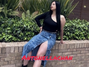 Antonellachan