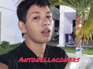 Antonellaconors