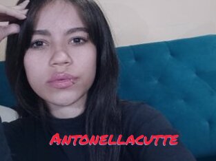 Antonellacutte