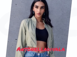 Antonelladivala