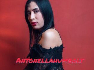 Antonellahumbolt