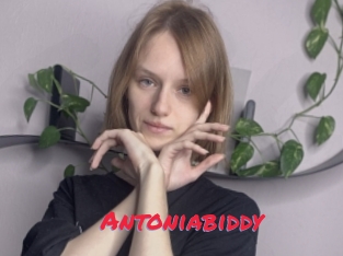 Antoniabiddy