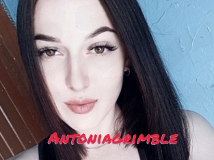 Antoniagrimble