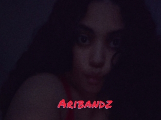 Aribandz