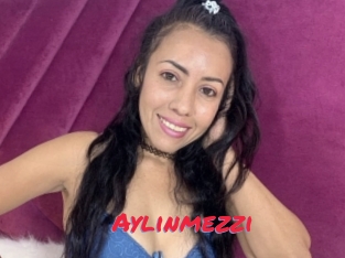 Aylinmezzi