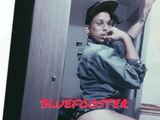 BLUEFOOSTER