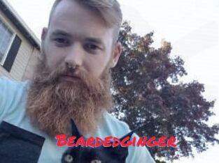 Beardedginger