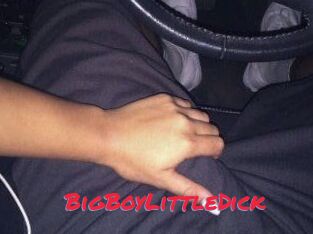 BigBoyLittleDick