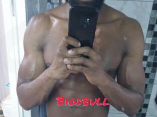 Bigdbull