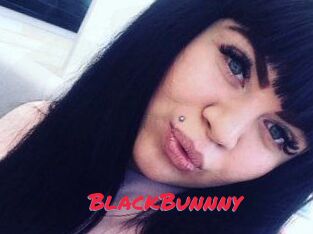 BlackBunnny