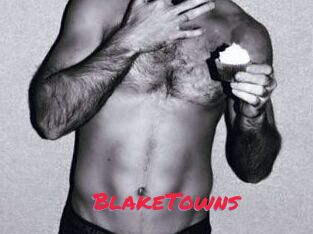 BlakeTowns