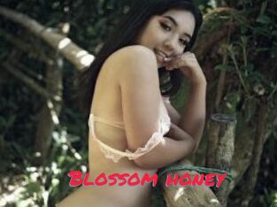 Blossom_honey