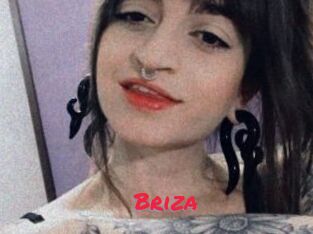 Briza