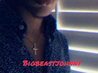 Bigbeastjohnny