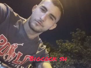 Bigcock_sh