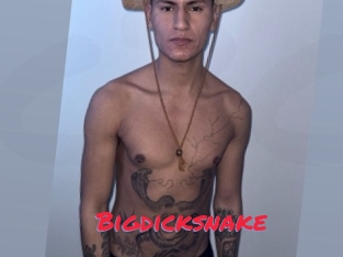 bigdicksnake Cam2cam Live