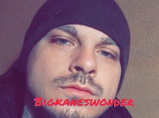 Bigkaneswonder