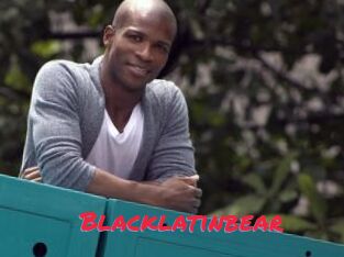 Blacklatinbear