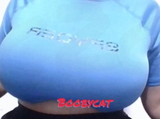 Boobycat