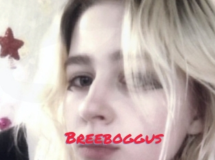 Breeboggus