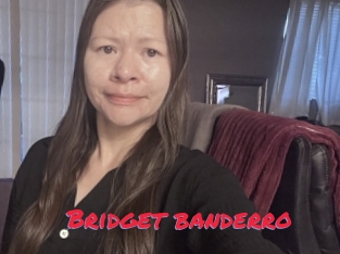 Bridget_banderro