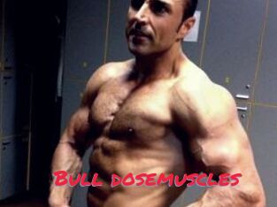 Bull_dosemuscles