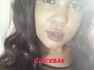 Circebae