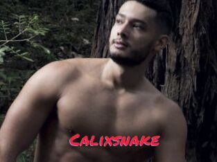 Calixsnake