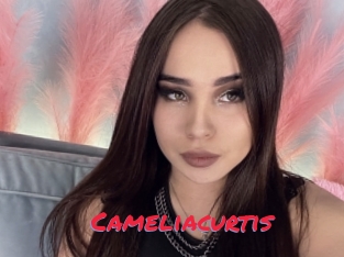 Cameliacurtis