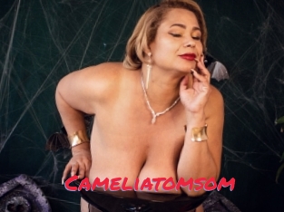 Cameliatomsom