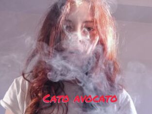 Cato_avocato