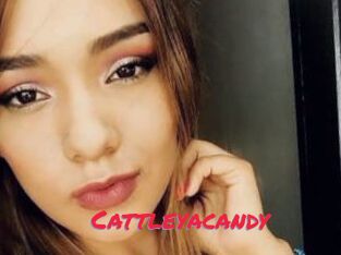 Cattleyacandy